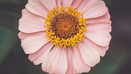 曼城夏季清洗进行时：格拉利什或以4000万英镑离队，蓝月开启重建